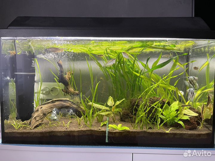 Аквариум