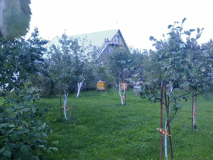 Участок 4 сот. (ИЖС)