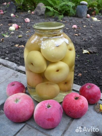 Сок яблочный домашний натуральный