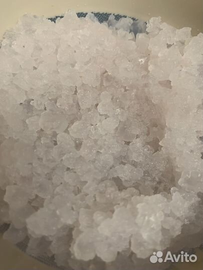 Индийский морской рис (гриб)