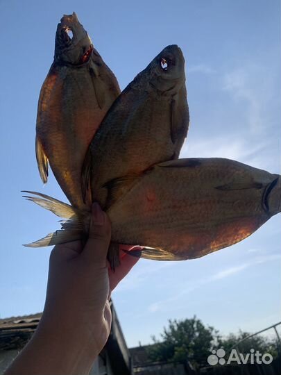 Вяленая рыба густера