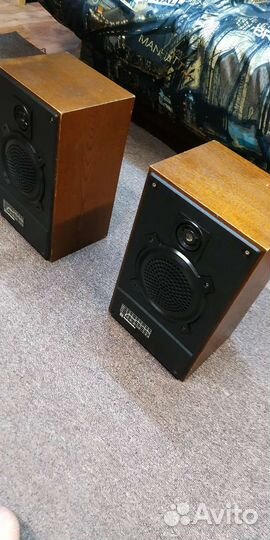 Колонки радиотехника s 30а