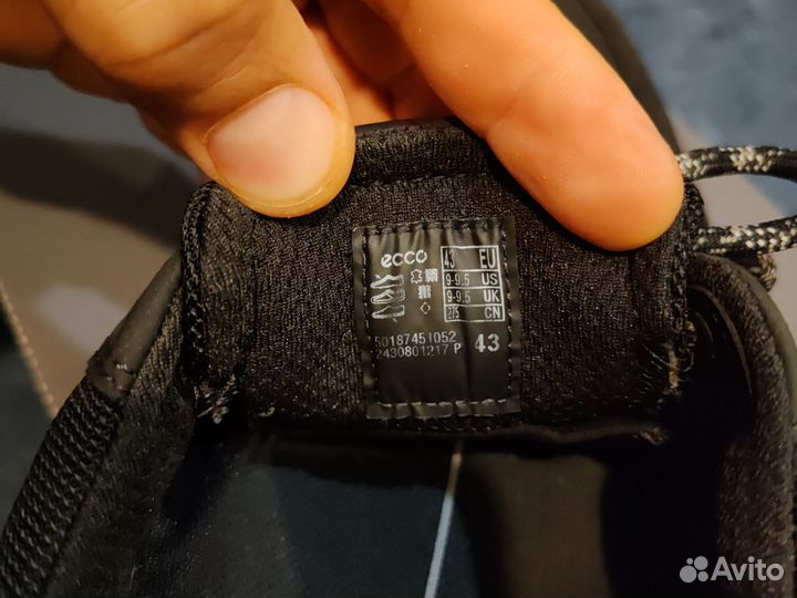 Ecco byway tred 43p
