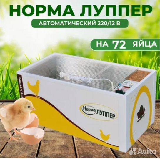 Инкубатор 