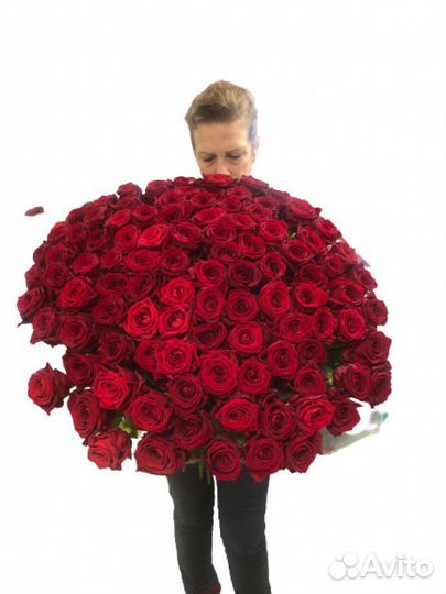 Розы цветы доставка 25 51 101 роза доставка