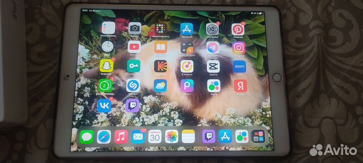 iPad Pro 10.5