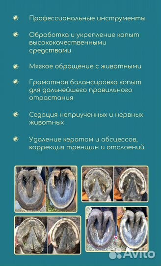 Расчистка копыт (лошади, пони, ослы)