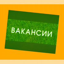 Фасовщик Работа вахтой Жилье/Еда Выплаты еженедельно М/Ж