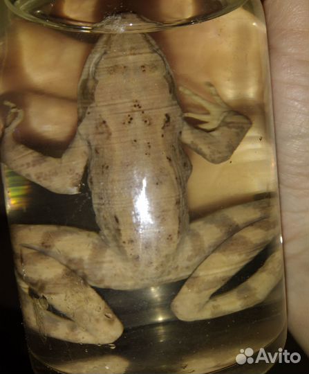 Учебное пособие 