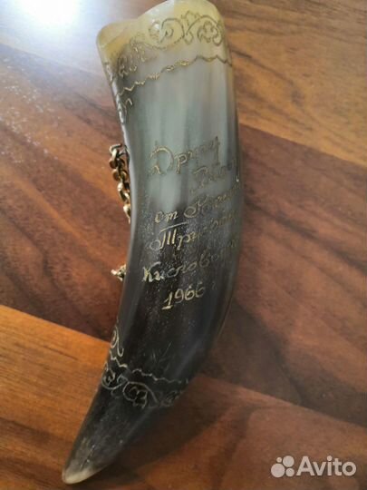 Рог натуральный, декоративный