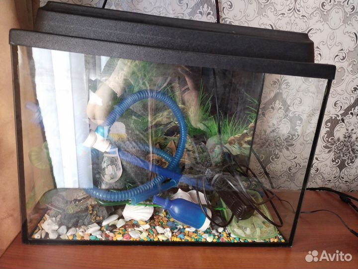 Аквариум
