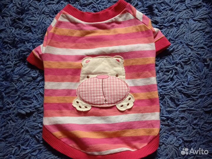 Одежда для собак