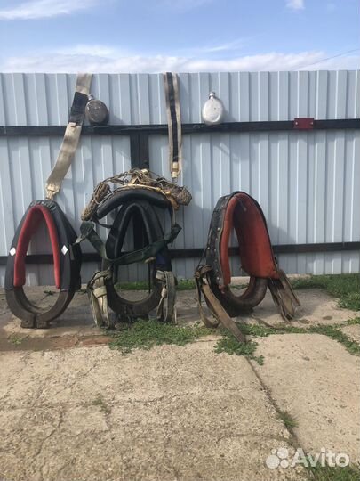 Ферменское хозяйство