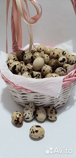 Яйца перепелиные домашние