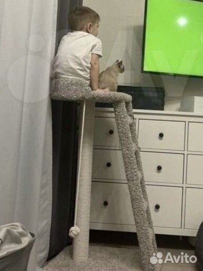 Когтеточка