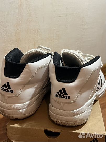 Кроссовки adidas pro model
