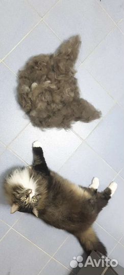 Расческа для кошек И собак пуходёрка чесалка