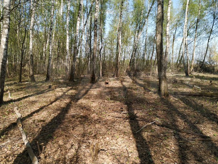 Участок 8 сот. (СНТ, ДНП)