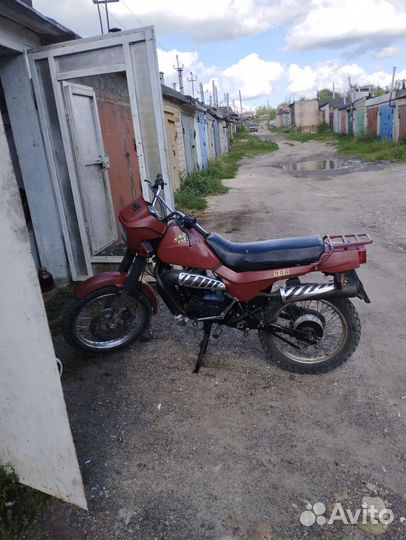Сова зид200