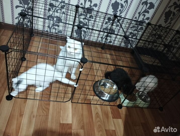 Вольер для животных
