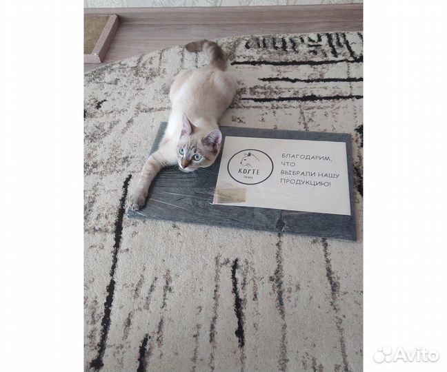 Когтеточка напольная новая