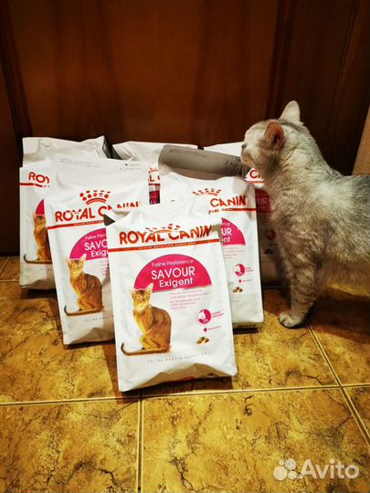Сухой корм для кошек royal canin Savour Exigent