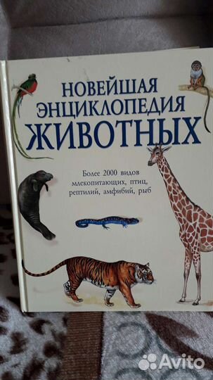 Энциклопедия