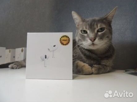 Airpods pro 2 premium 2024 Чехол и Гарантия
