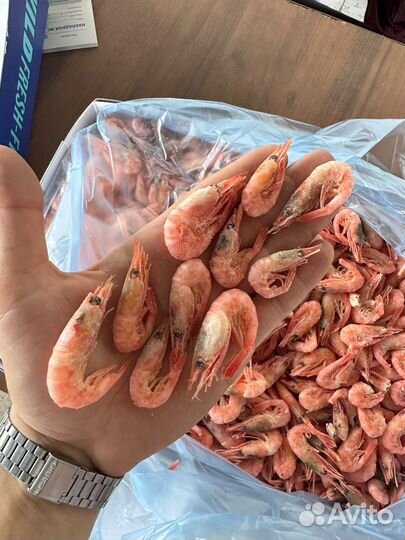 Креветки в ассортименте опт