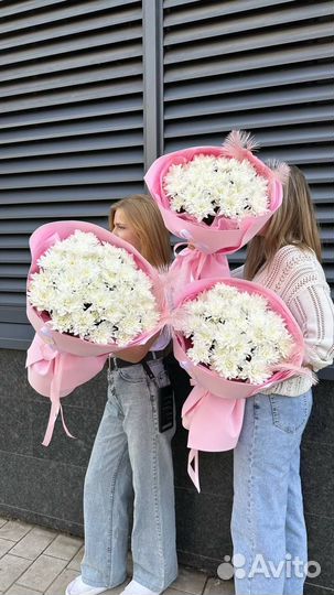 Букет из Хризантем в нежном оформлении