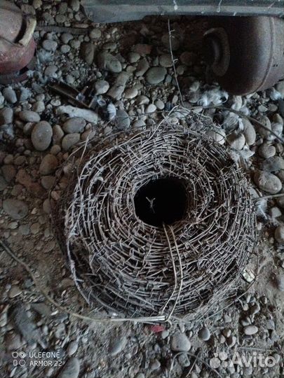 Колючая проволока