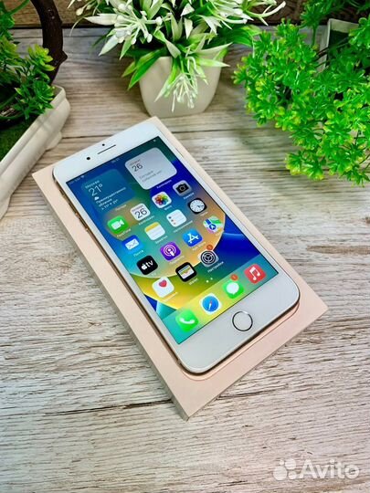 iPhone 8 Plus, 64 ГБ