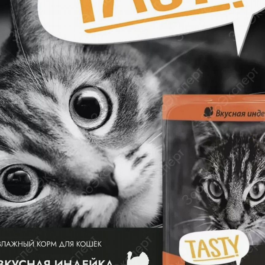 Корм для кошек tasty и All cats