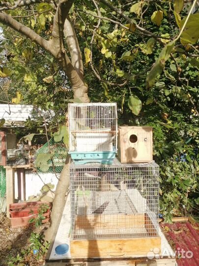 Большая клетка для птиц