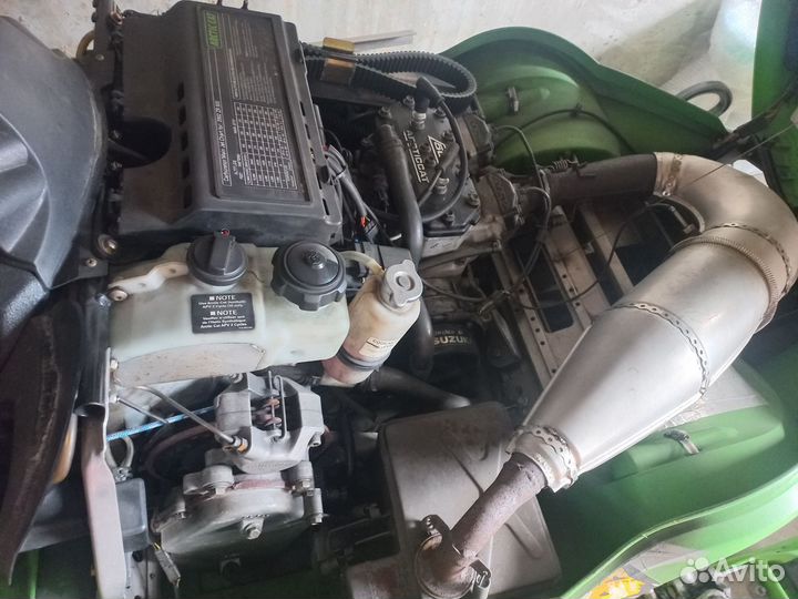 Arctic cat