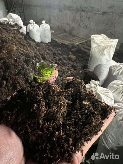 Навоз Перегной