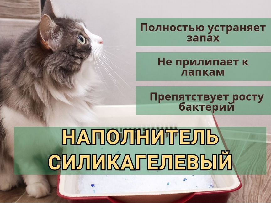 Наполнитель для кошачьего туалета