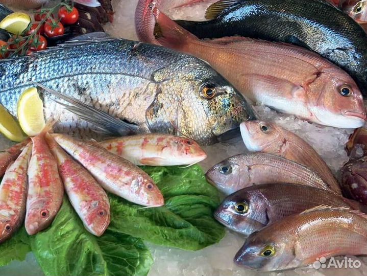 Продается рыбный магазин – готовый бизнес