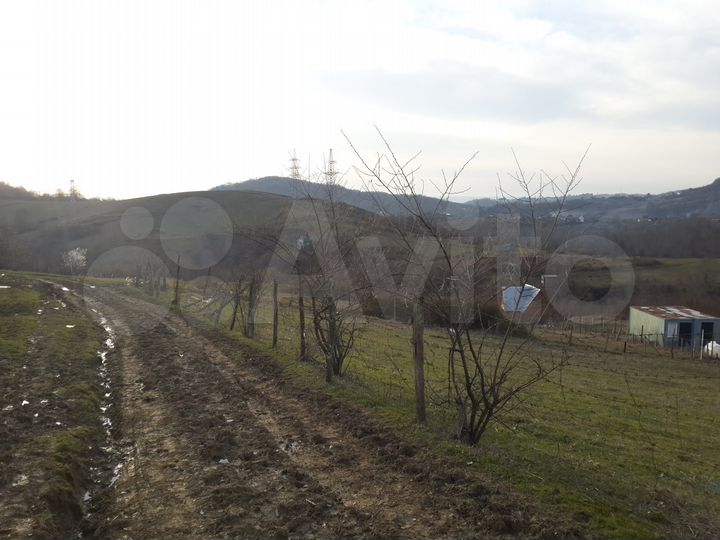 Участок 6,1 сот. (СНТ, ДНП)