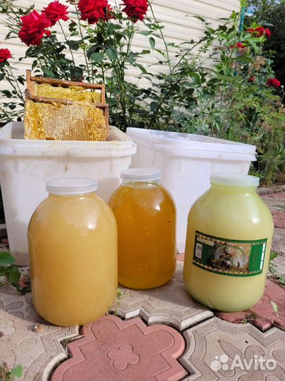 Мед башкирский