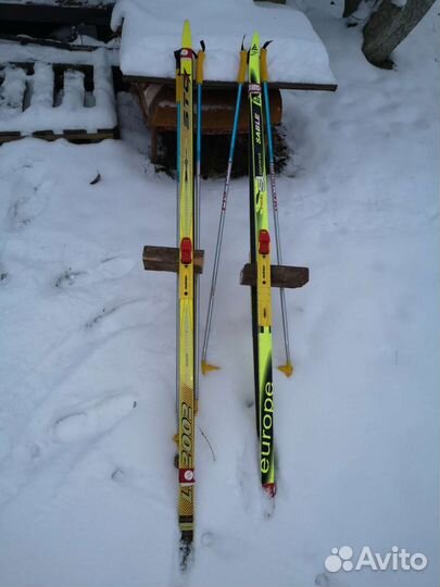 Беговые лыжи