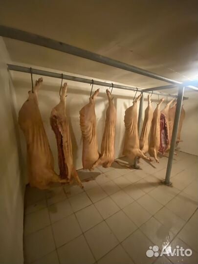 Мясо свинина