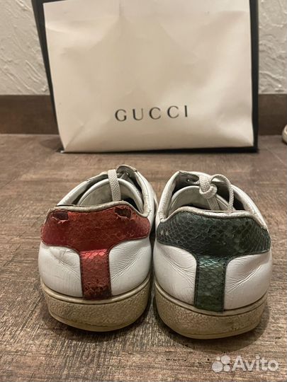 Gucci Ace кеды мужские оригинал