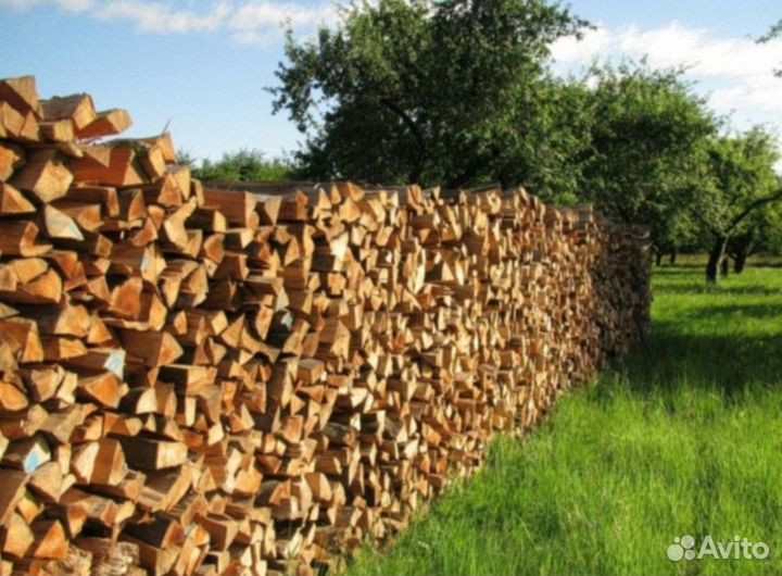 Дрова береза