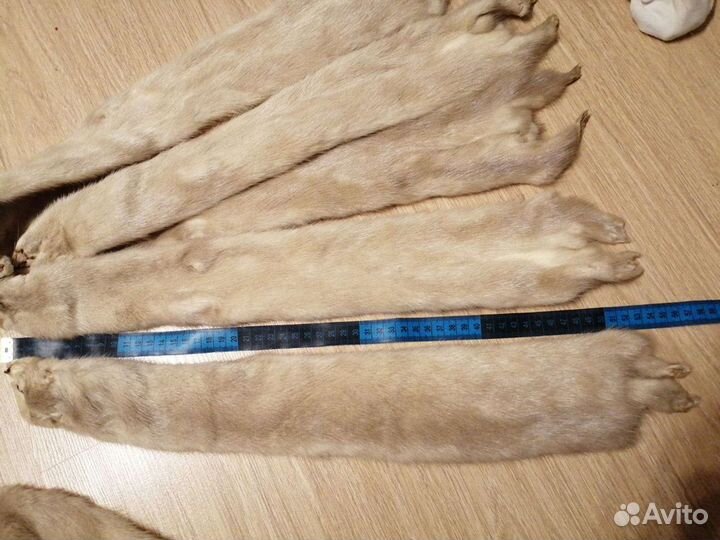 Шкурки норки,6 штук