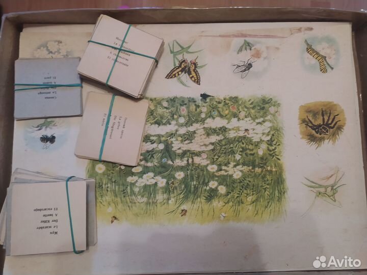 Зоологическое лото 1977г