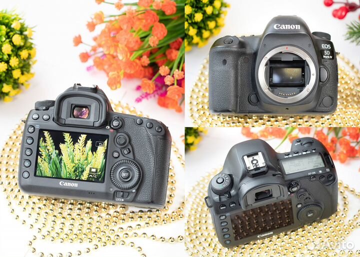Canon EOS 5D Mark IV body. Как новый, обмен