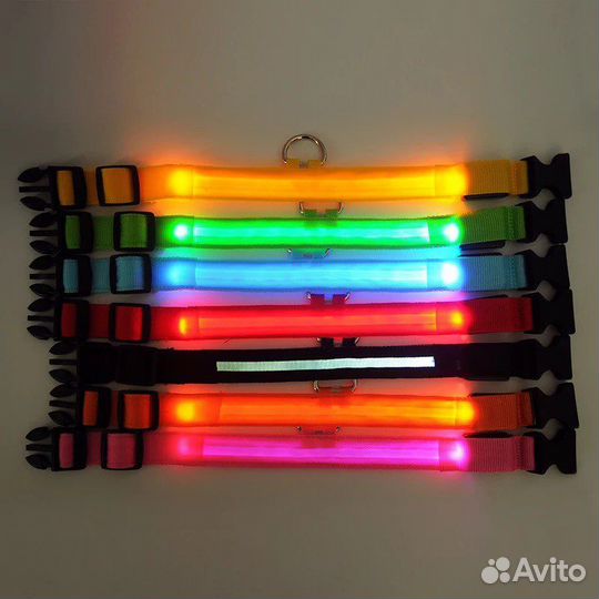 Ошейник светящийся для собаки