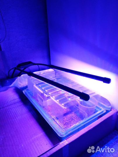 Фитолампа для растений полный спектр
