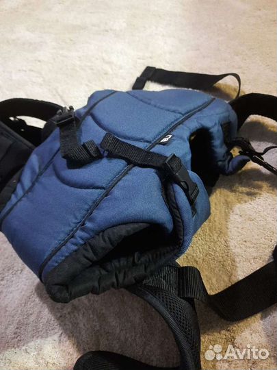 Кенгуру мазекея